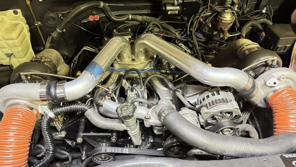 IMG_9412.jpeg IMG_9412.jpeg