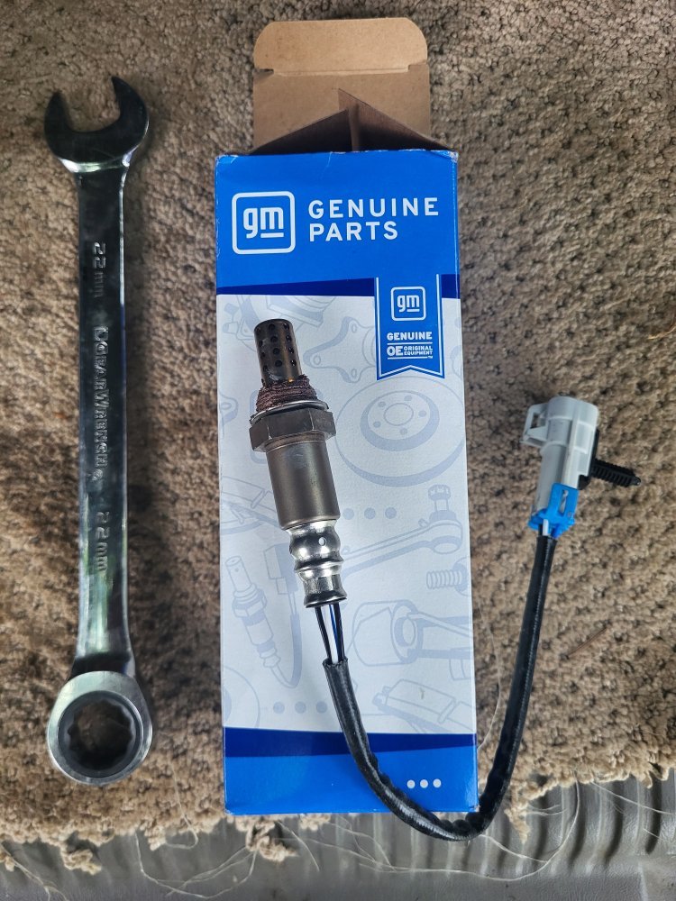 20240705_105530.jpg 20240705_105530.jpg