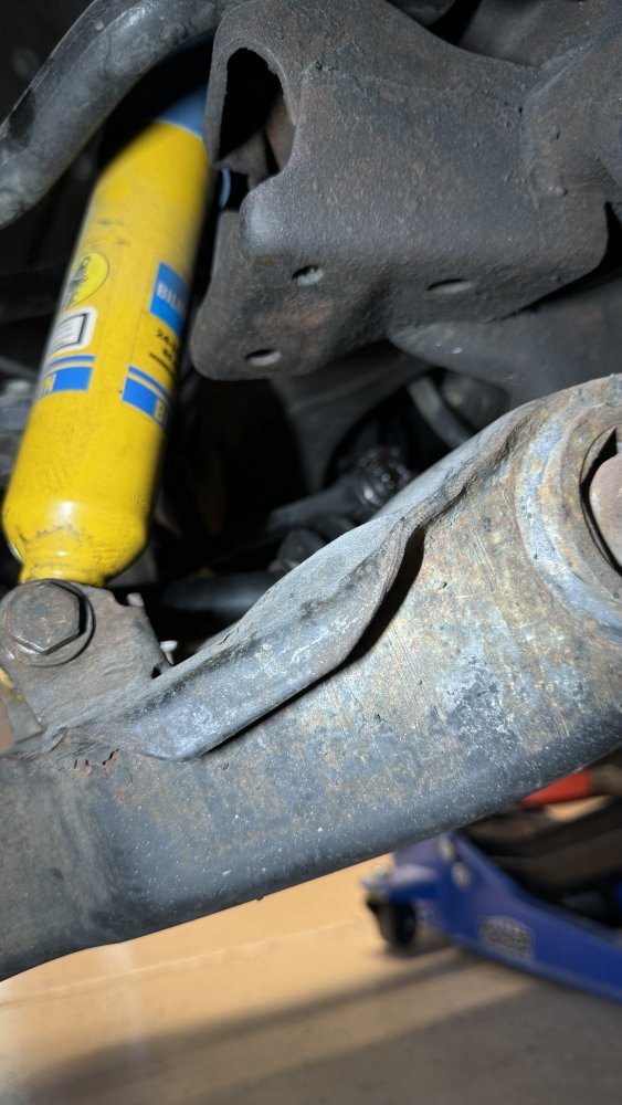 IMG_9503.jpeg IMG_9503.jpeg