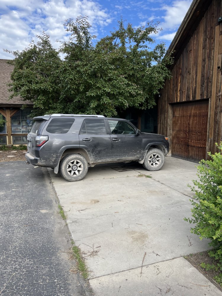 IMG_3779.jpeg IMG_3779.jpeg