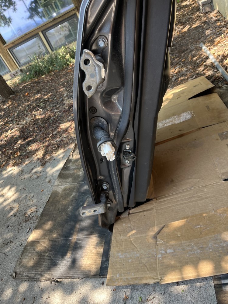 IMG_4321.jpeg IMG_4321.jpeg