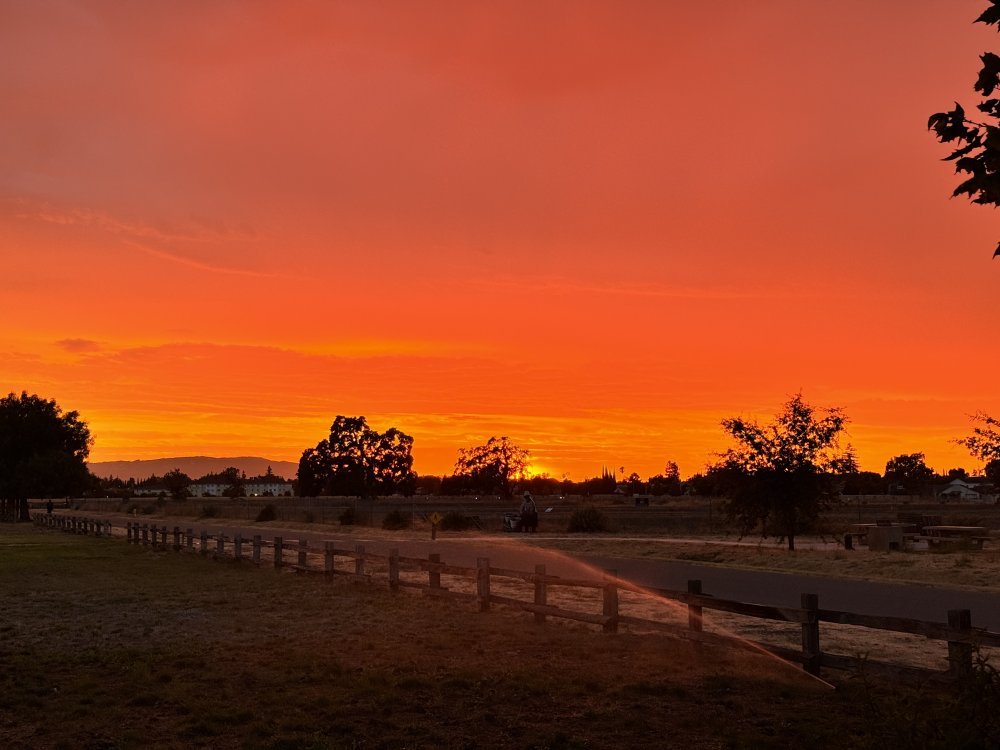 IMG_1593.JPG IMG_1593.JPG