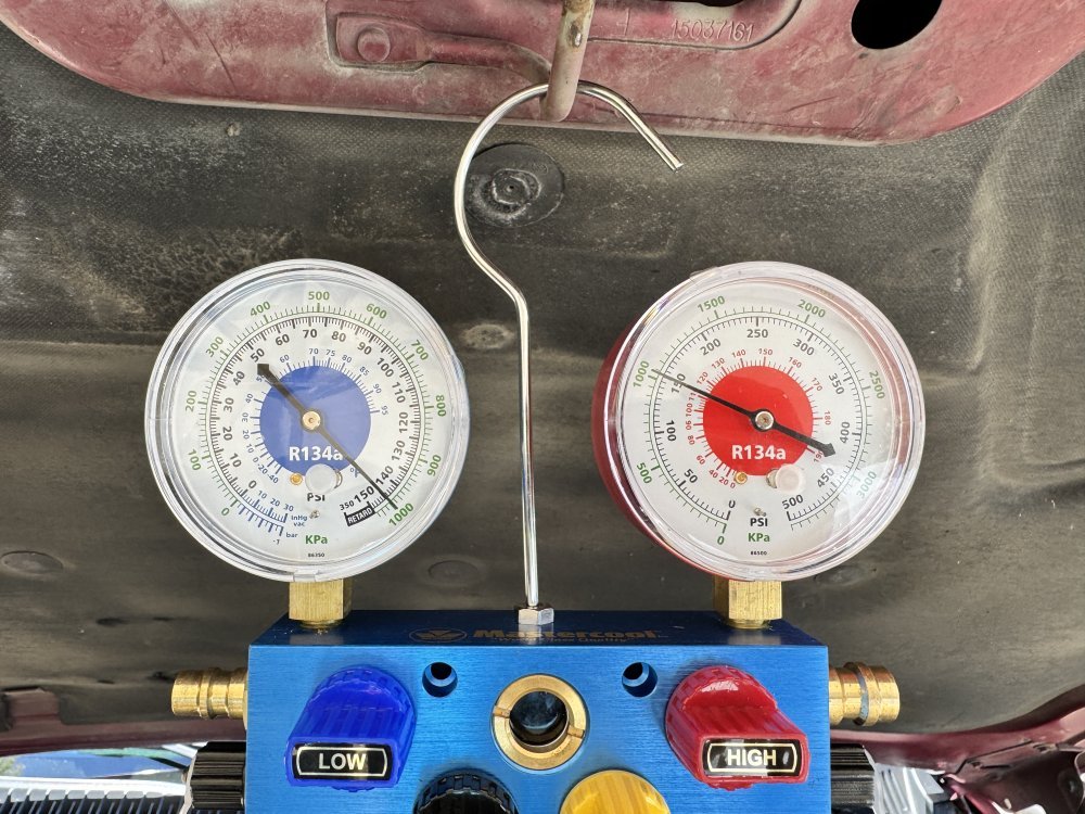 IMG_1610.jpeg IMG_1610.jpeg