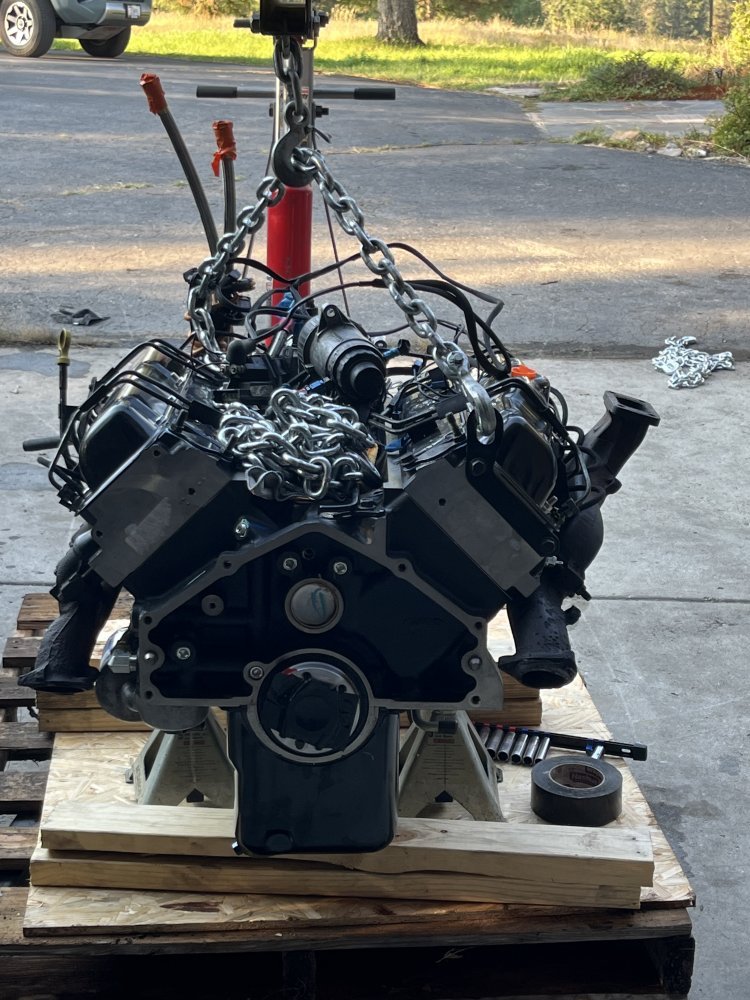 IMG_5250.jpeg IMG_5250.jpeg