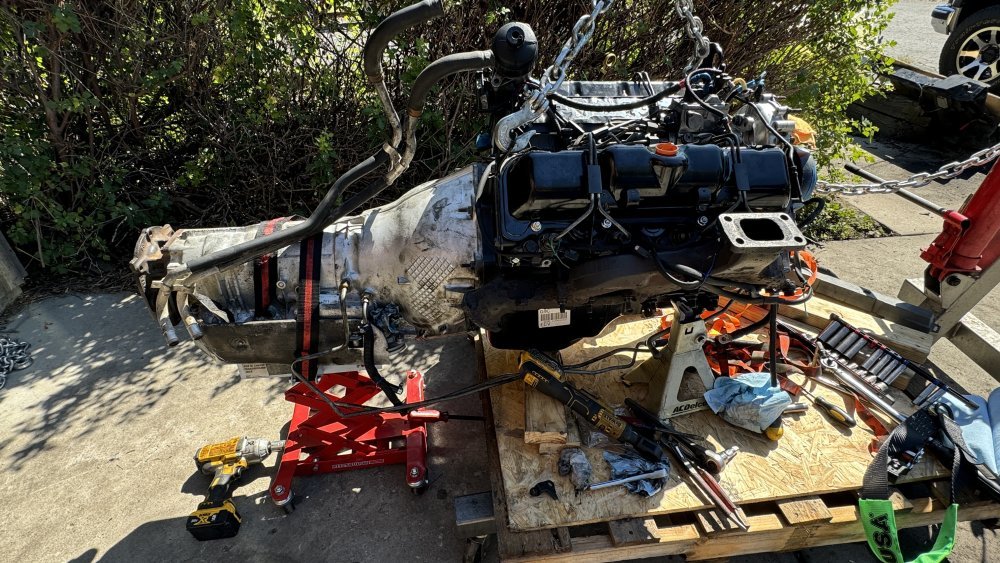 IMG_9873.jpeg IMG_9873.jpeg