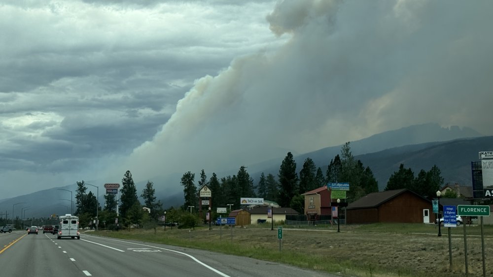 IMG_9876.jpeg IMG_9876.jpeg