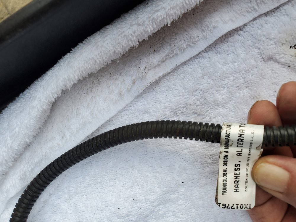 LSSV2 24v Alternator Photo 1.jpg