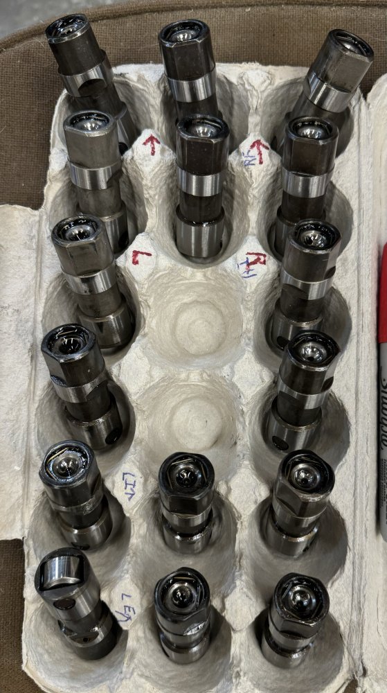 IMG_0442.jpeg IMG_0442.jpeg