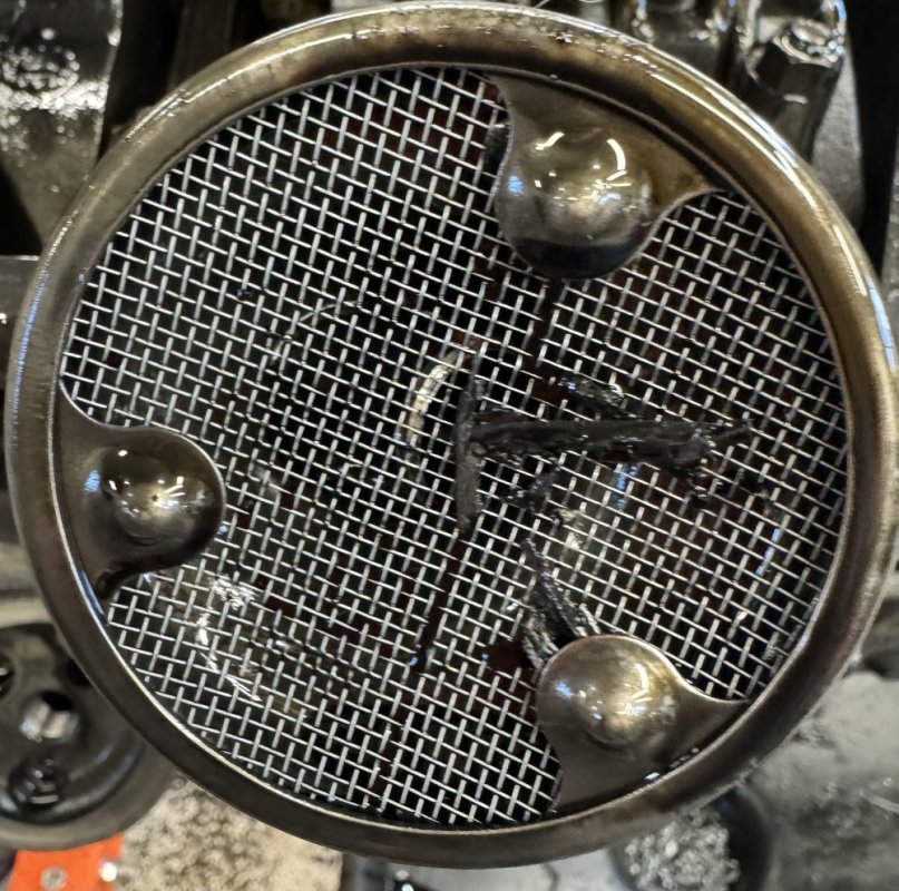 IMG_0444.jpeg IMG_0444.jpeg