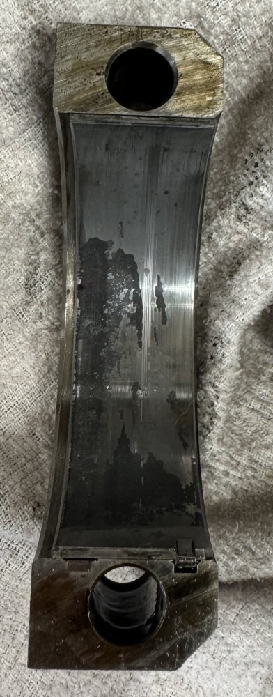 IMG_0445.jpeg IMG_0445.jpeg