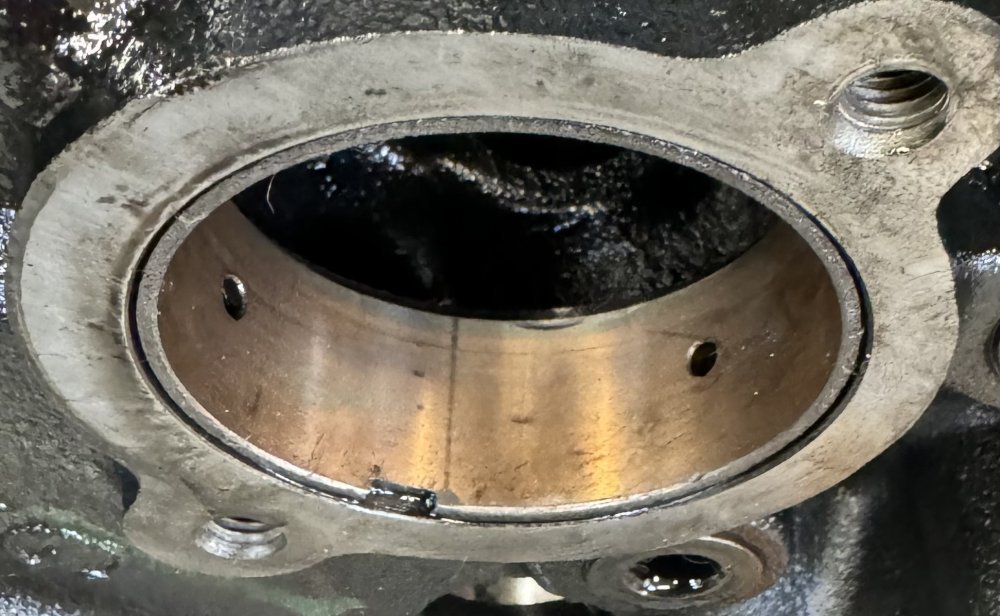 IMG_0447.jpeg IMG_0447.jpeg