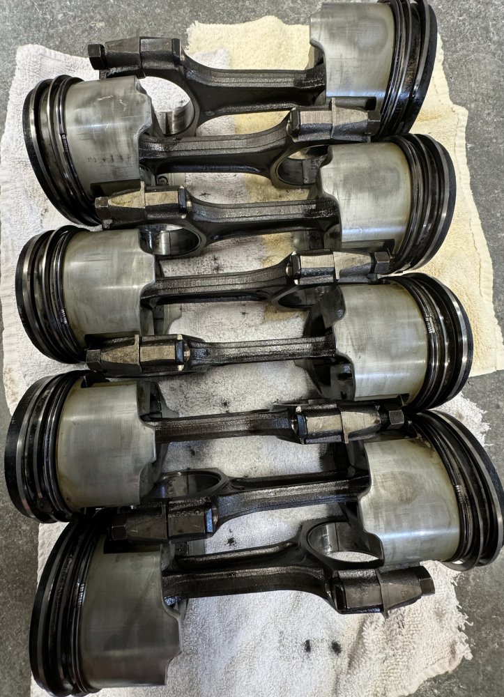 IMG_0459.jpeg IMG_0459.jpeg