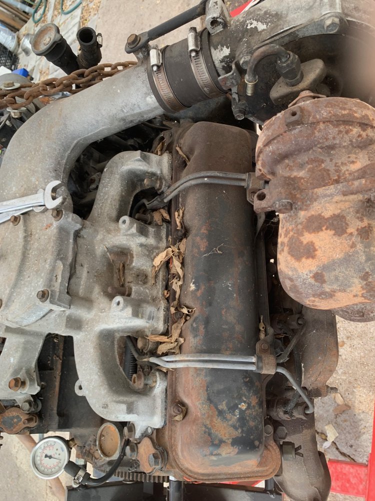 IMG_5556.jpg IMG_5556.jpg