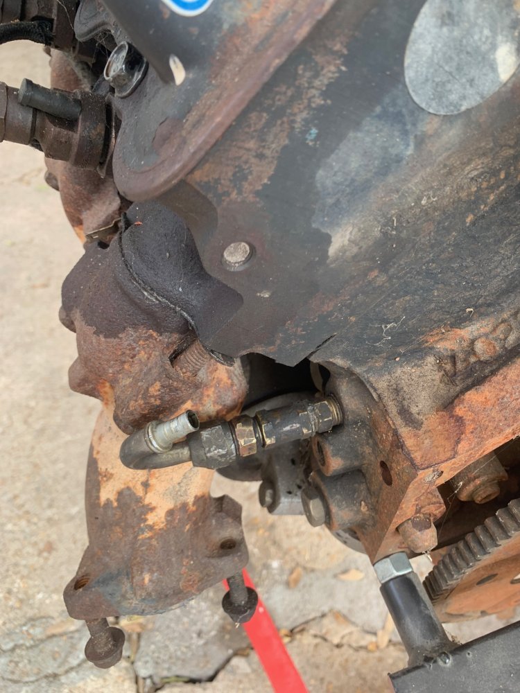 IMG_5555.jpg IMG_5555.jpg