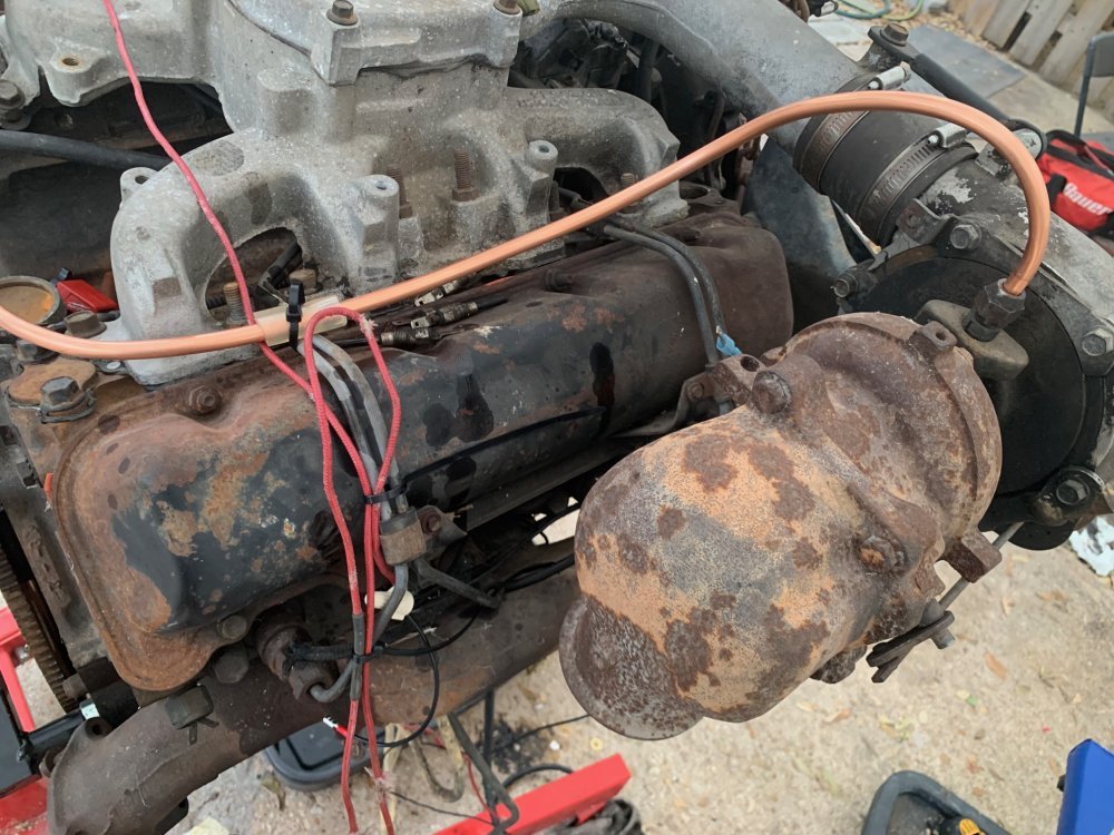 IMG_5562.jpg IMG_5562.jpg