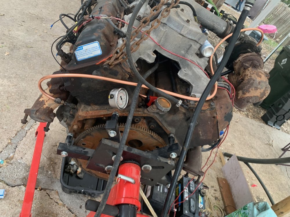 IMG_5561.jpg IMG_5561.jpg