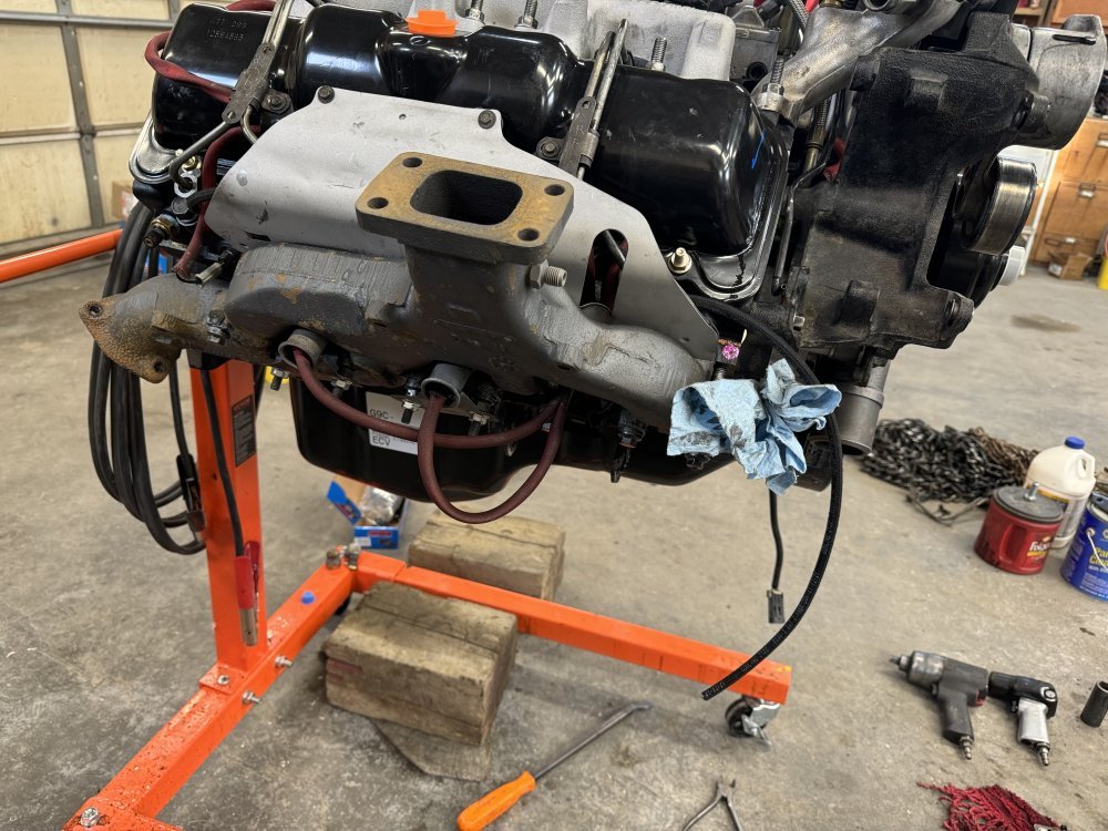 IMG_0967.jpeg IMG_0967.jpeg