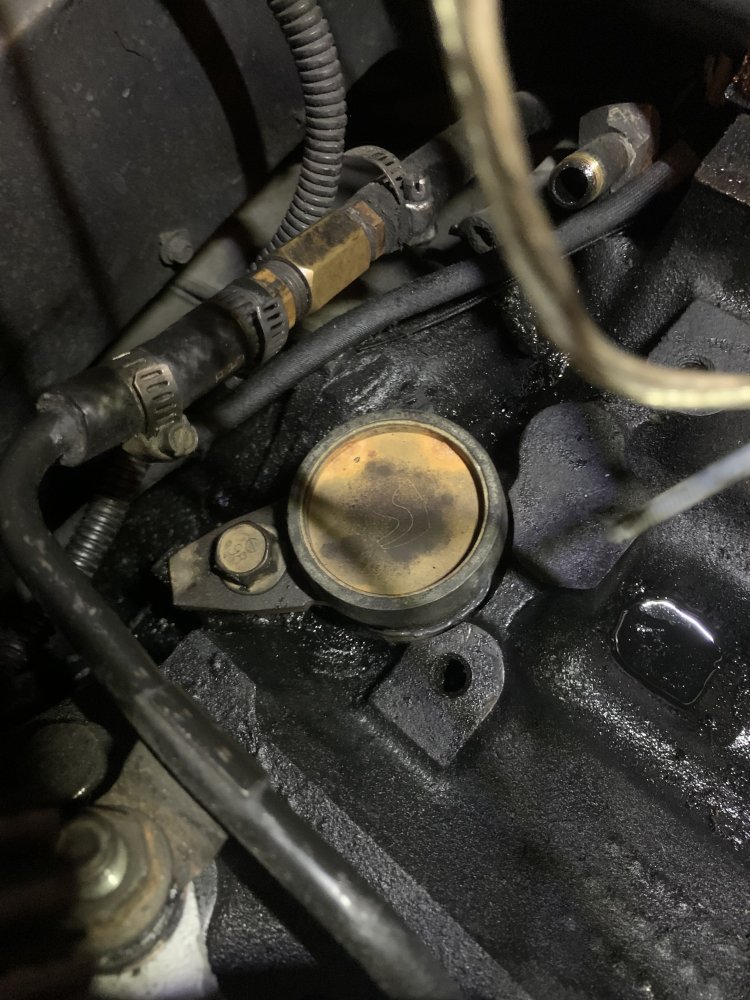 IMG_5648.jpeg IMG_5648.jpeg