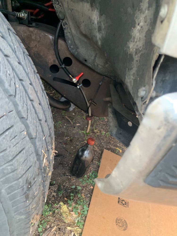 IMG_5691.jpg IMG_5691.jpg