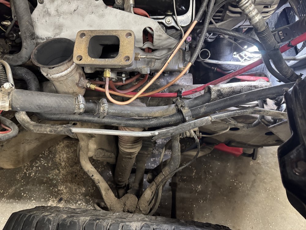 IMG_1315.jpeg IMG_1315.jpeg