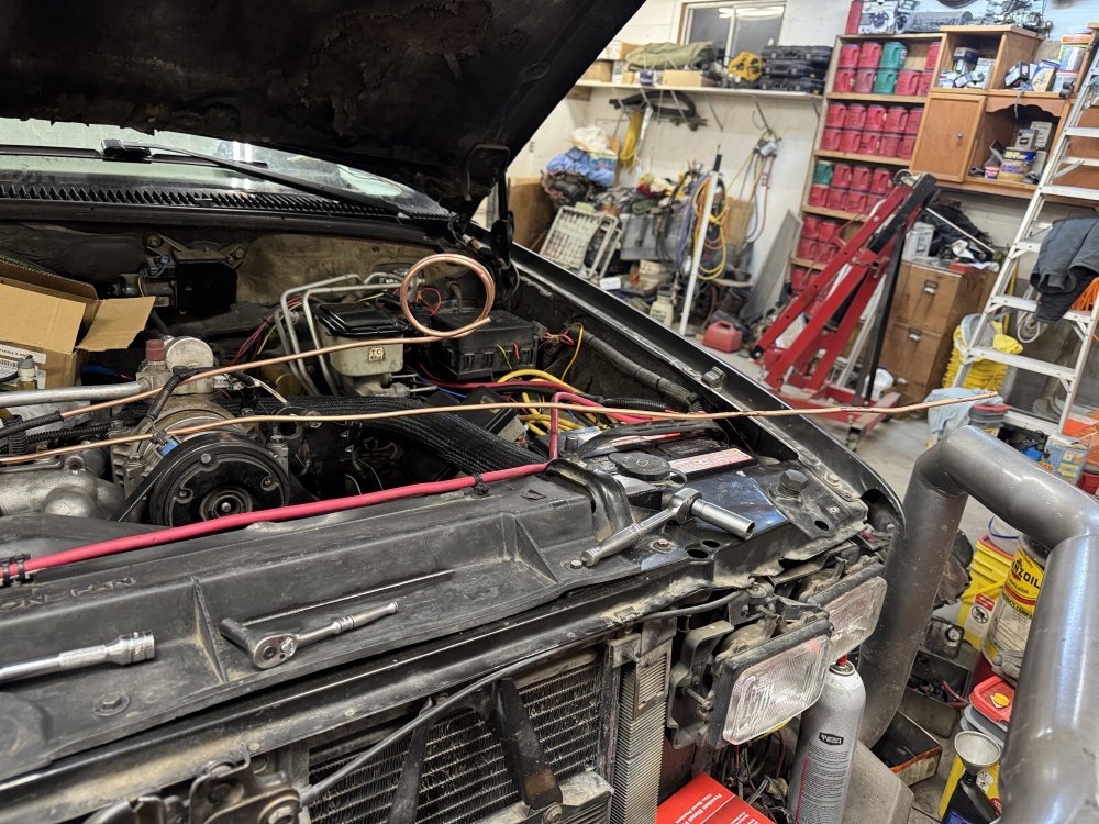 IMG_1314.jpeg IMG_1314.jpeg