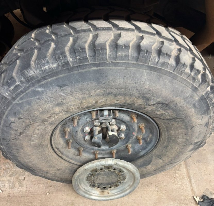 IMG_2647.jpeg IMG_2647.jpeg