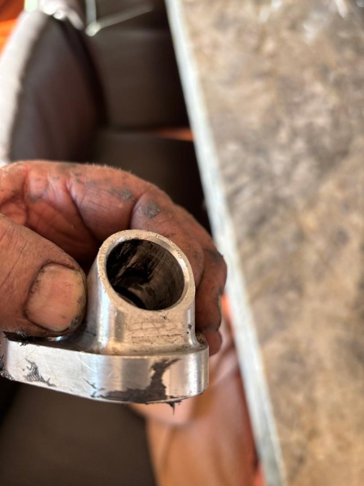 IMG_6956.jpeg IMG_6956.jpeg