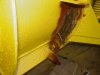 Plow Crack 002.JPG