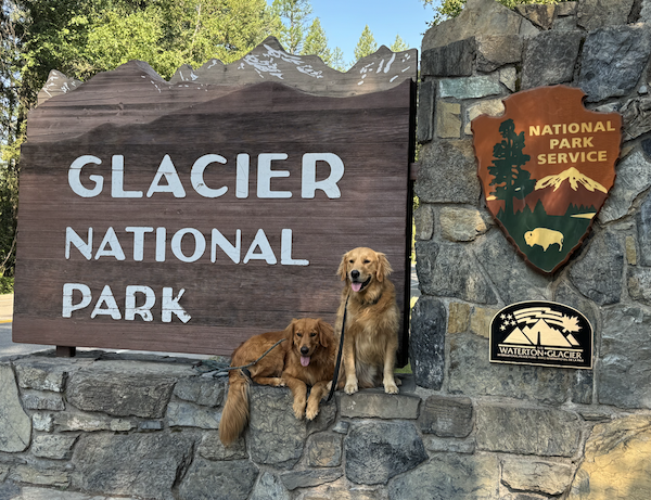 1738393763101.png 1738393763101.png