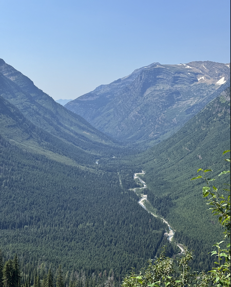 1738393812217.png 1738393812217.png