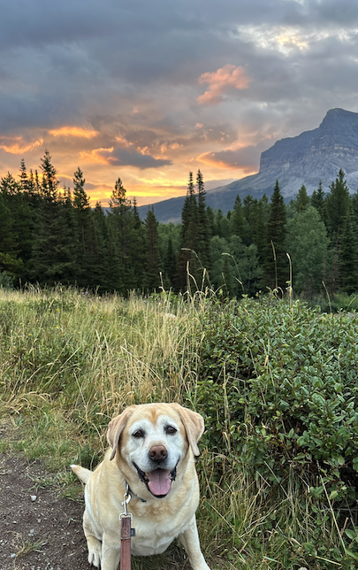 1738393837947.png 1738393837947.png