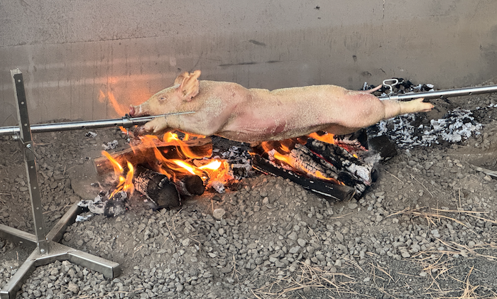 1738393997653.png 1738393997653.png