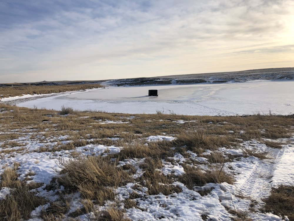 IMG_2966.jpeg IMG_2966.jpeg