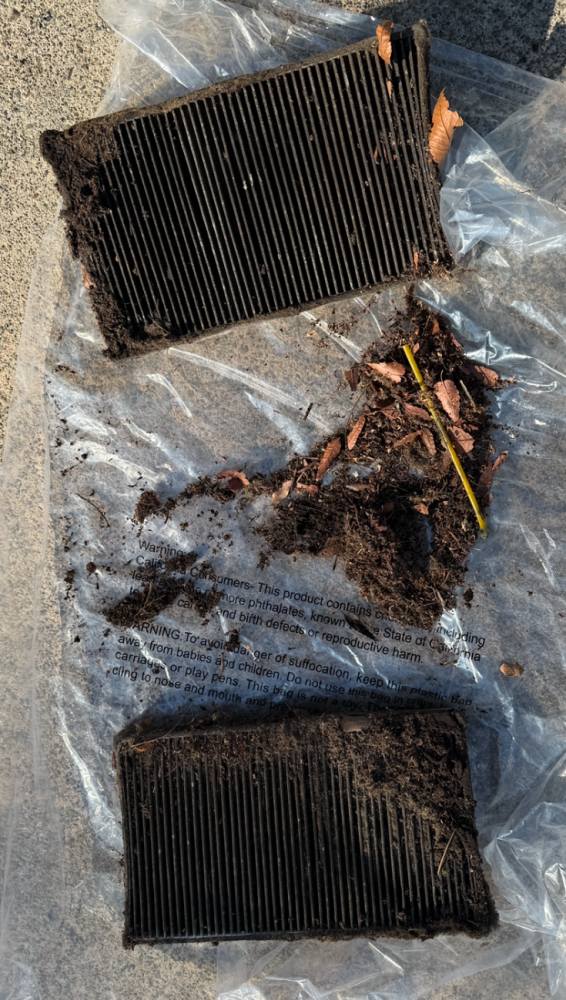 1739063088194.png 1739063088194.png