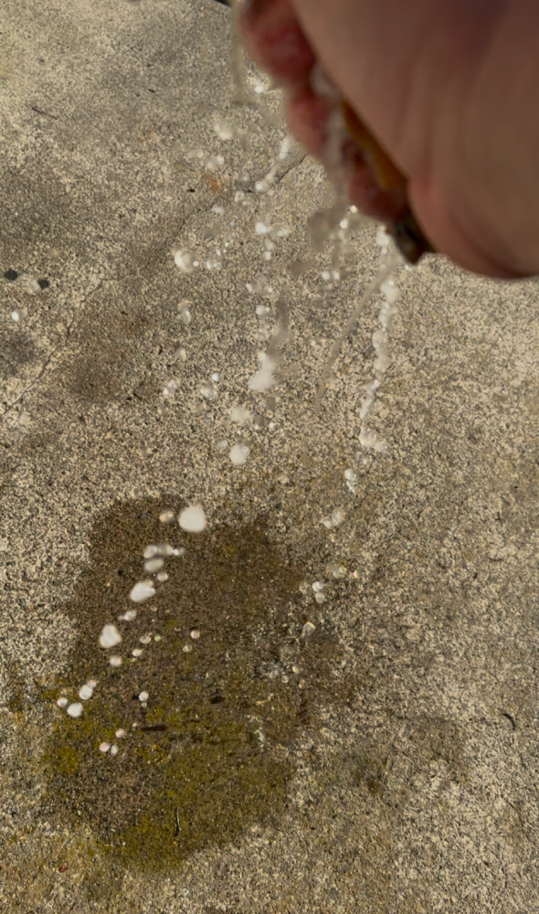 1739064239924.png 1739064239924.png