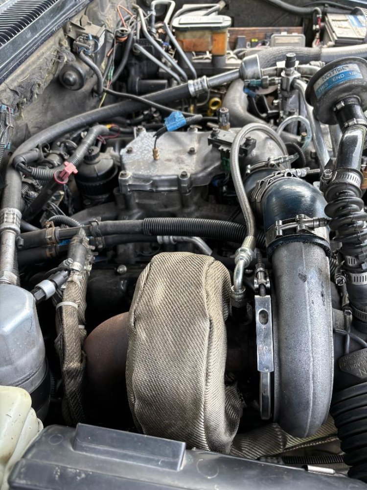 IMG_7536.jpeg IMG_7536.jpeg