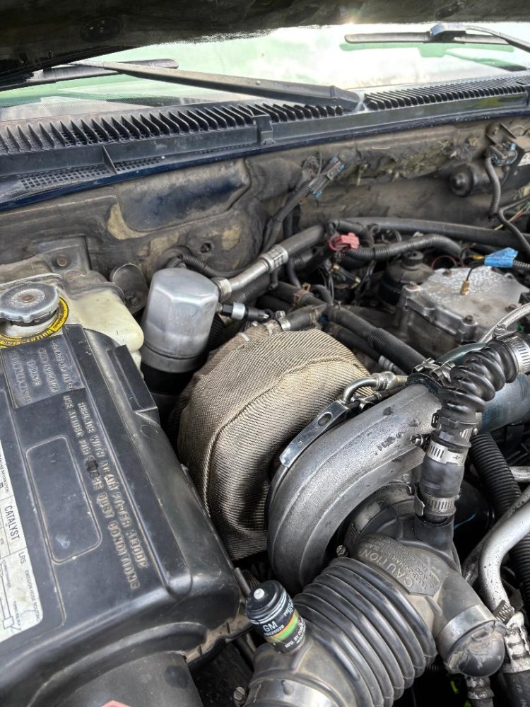 IMG_7537.jpeg IMG_7537.jpeg