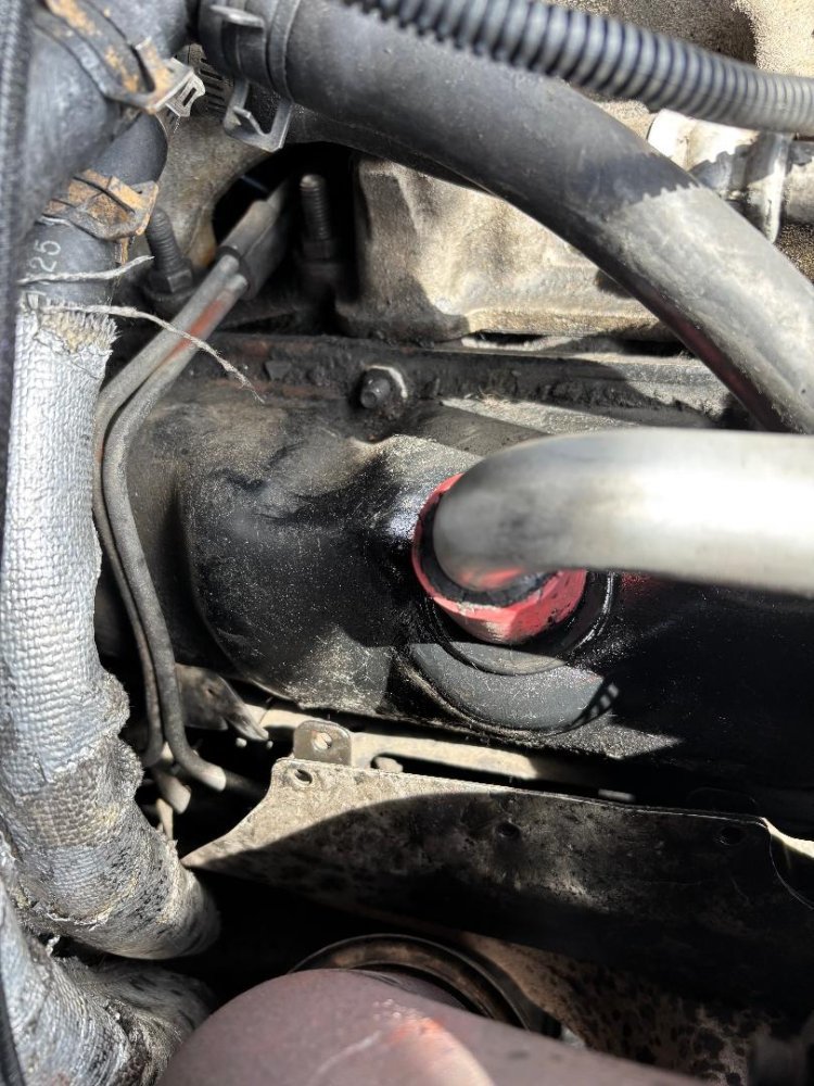 IMG_7538.jpeg IMG_7538.jpeg