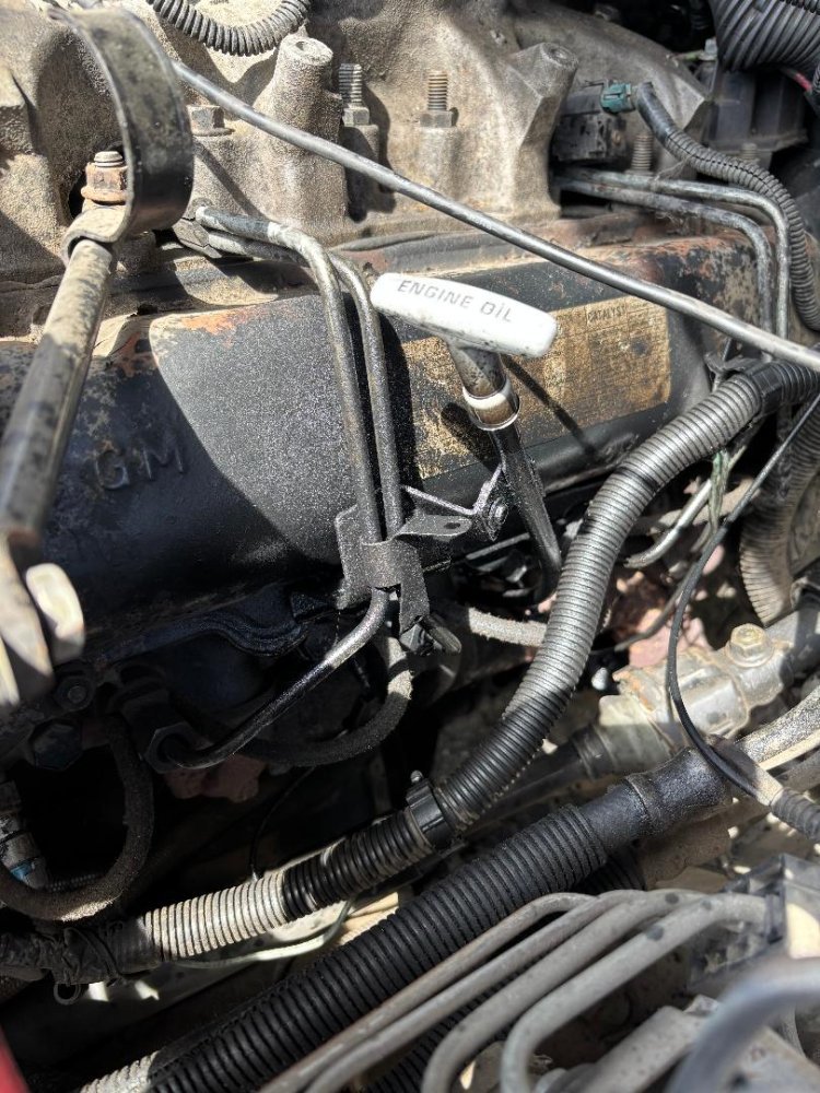 IMG_7539.jpeg IMG_7539.jpeg