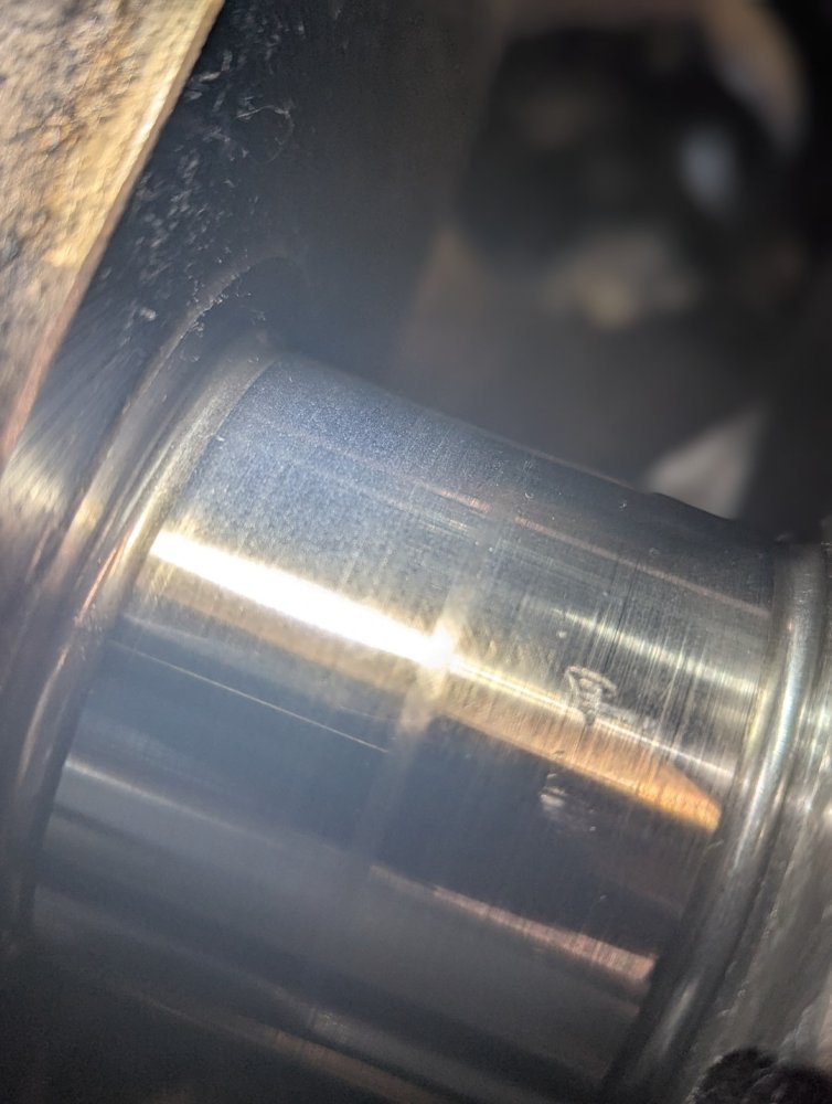 PXL_20250328_224721793.PORTRAIT (Large).jpg