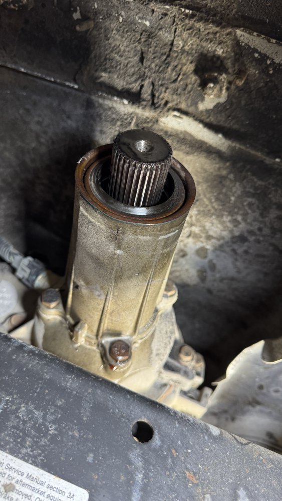 IMG_0831 (Edited).JPG