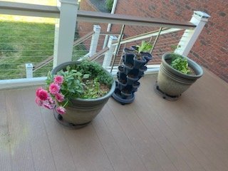 planters.jpg