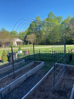 trellis.jpg