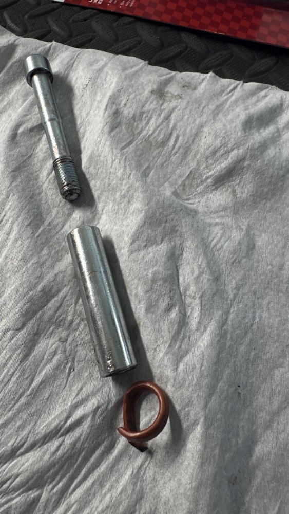 IMG_0973.jpeg IMG_0973.jpeg