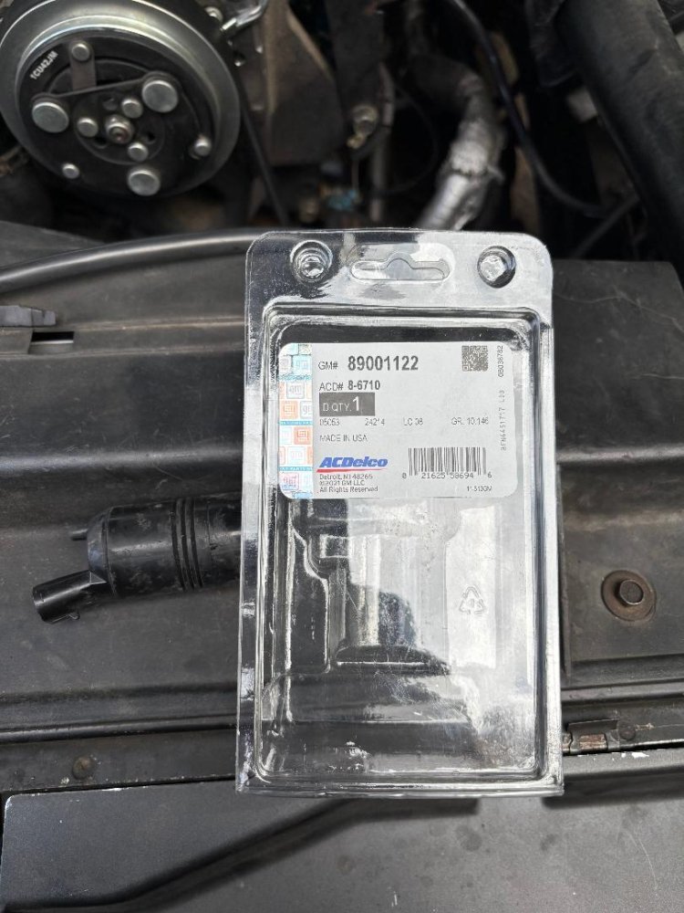 IMG_8378.jpeg IMG_8378.jpeg