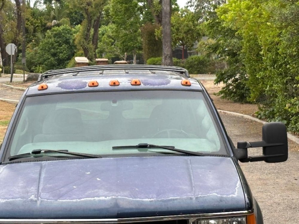 IMG_8452.jpeg IMG_8452.jpeg