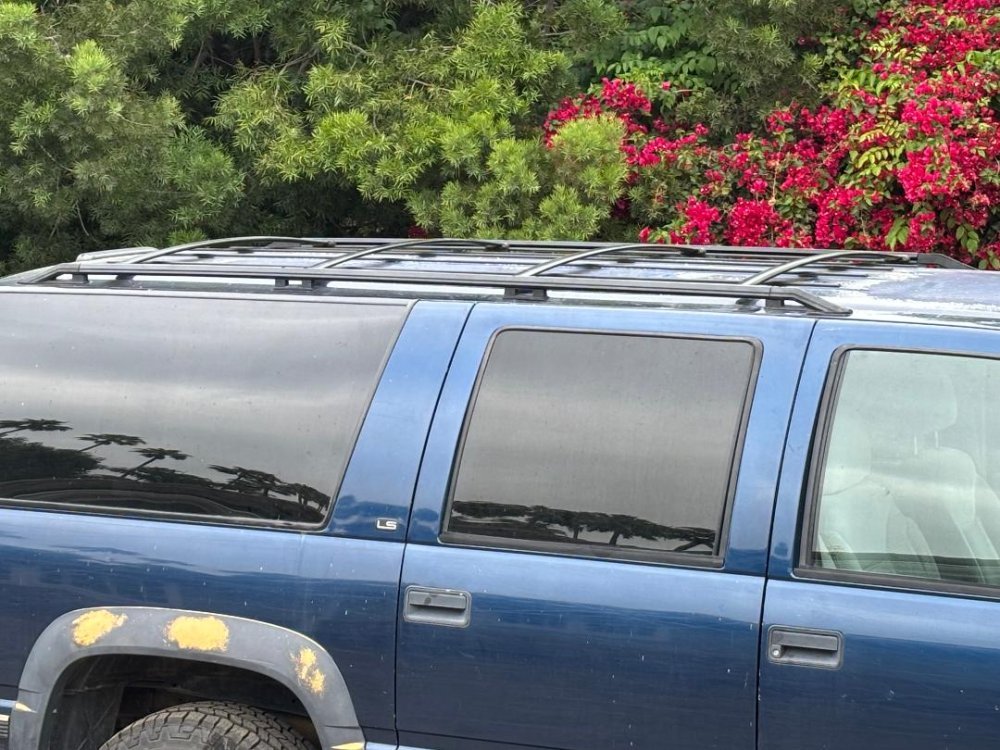 IMG_8453.jpeg IMG_8453.jpeg