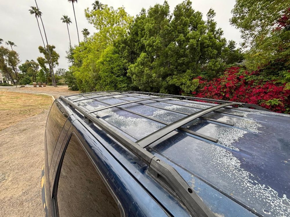 IMG_8454.jpeg IMG_8454.jpeg