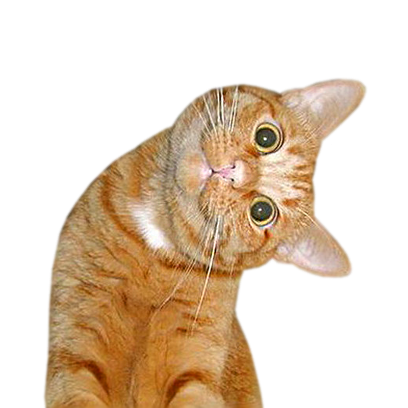 1748396457857.png