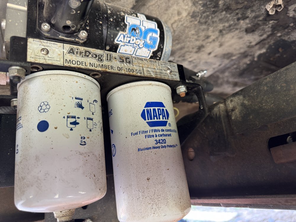 IMG_3101.jpeg IMG_3101.jpeg